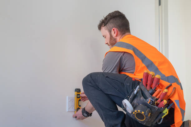 Best Generator Installation Services  in Leadington, MO